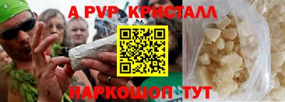 сатива Беслан