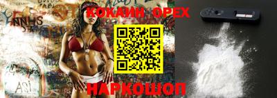 apvp Бийск