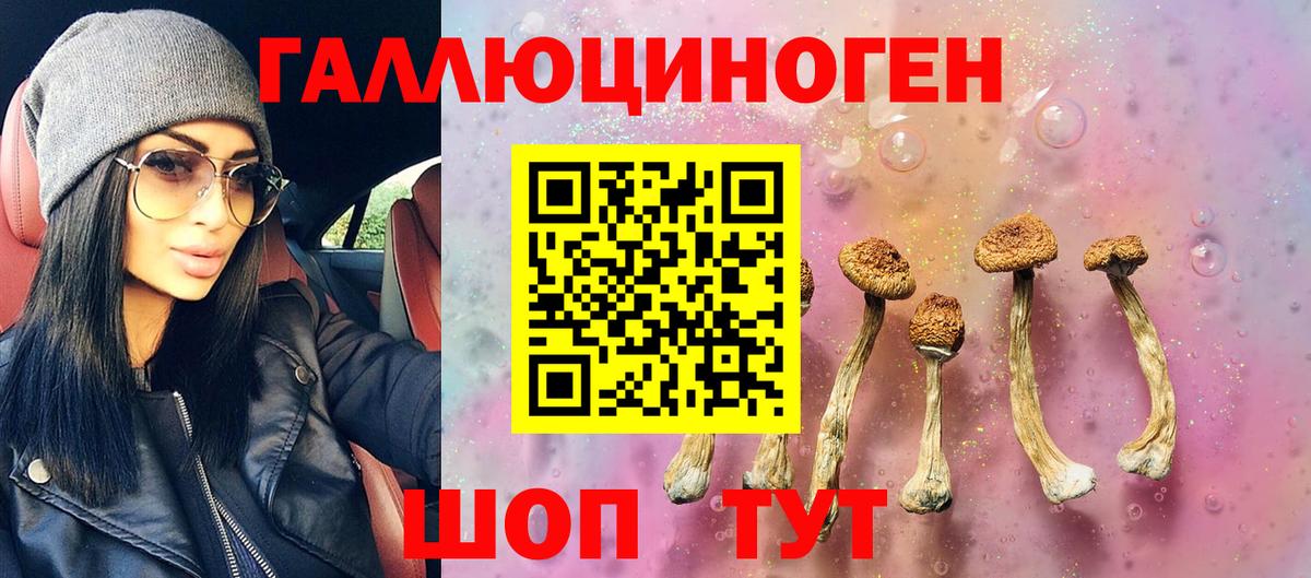 Галлюциногенные грибы мицелий  Вход с VPN  Городец 